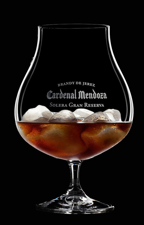 Cardenal Mendoza with Ice